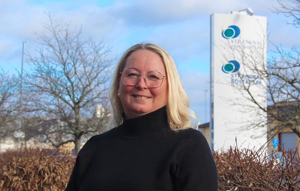 Solcellspaneler på taket till Vasaskolan.